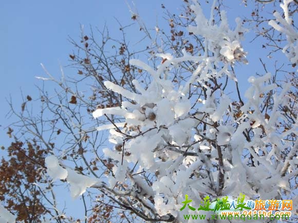 大連勞動公園滑雪場